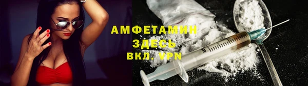 ГАЛЛЮЦИНОГЕННЫЕ ГРИБЫ Инсар