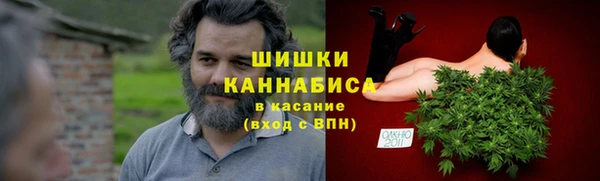 ГАЛЛЮЦИНОГЕННЫЕ ГРИБЫ Инсар
