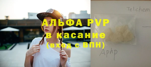 ГАЛЛЮЦИНОГЕННЫЕ ГРИБЫ Инсар