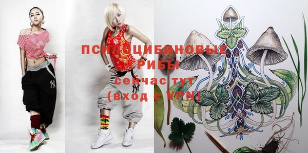 ГАЛЛЮЦИНОГЕННЫЕ ГРИБЫ Инсар
