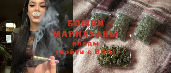 ГАЛЛЮЦИНОГЕННЫЕ ГРИБЫ Инсар