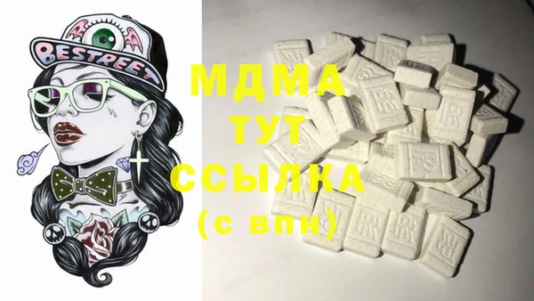 ГАЛЛЮЦИНОГЕННЫЕ ГРИБЫ Инсар