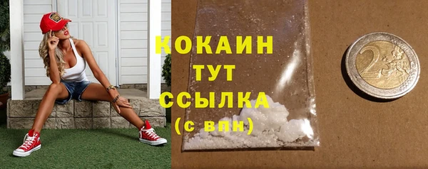ГАЛЛЮЦИНОГЕННЫЕ ГРИБЫ Инсар