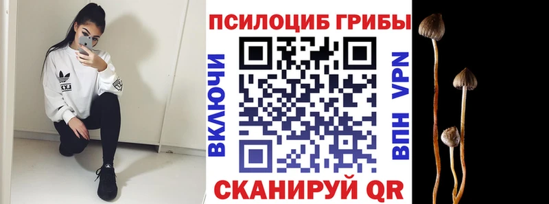 Купить где  Усть-Катав  Псилоцибиновые грибы ЛСД 